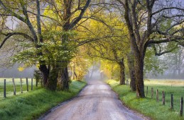 Great Smoky Mountains National Park