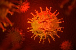 coronavirus