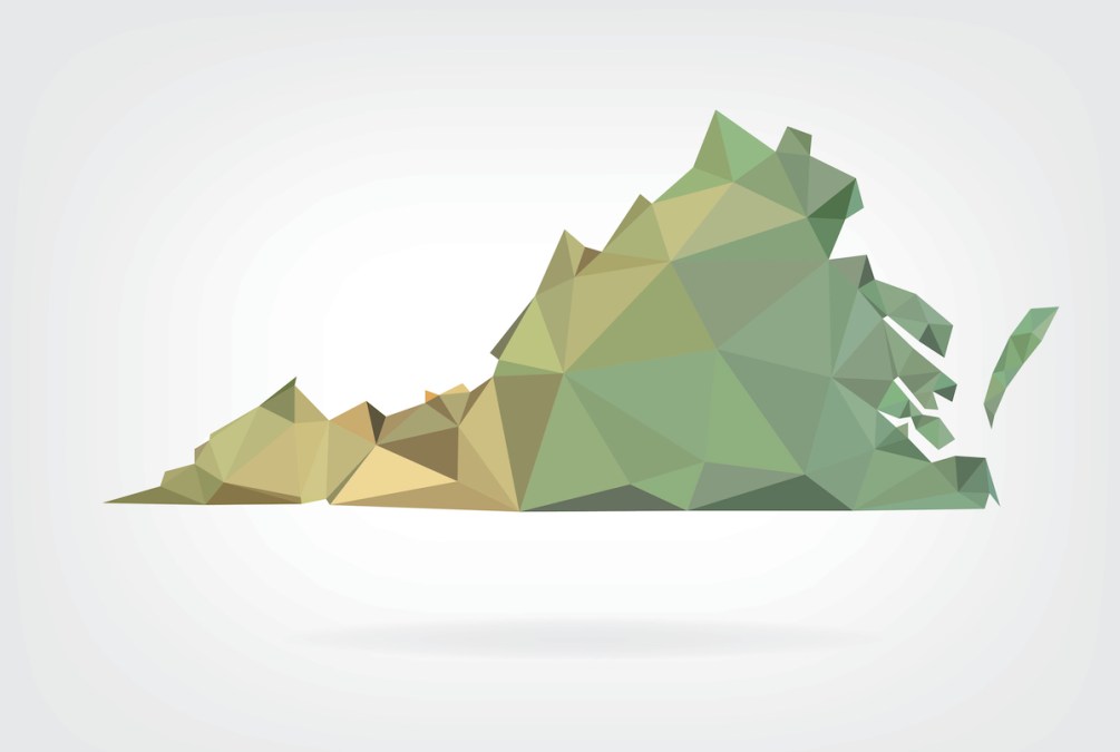 Virginia but make it polygons